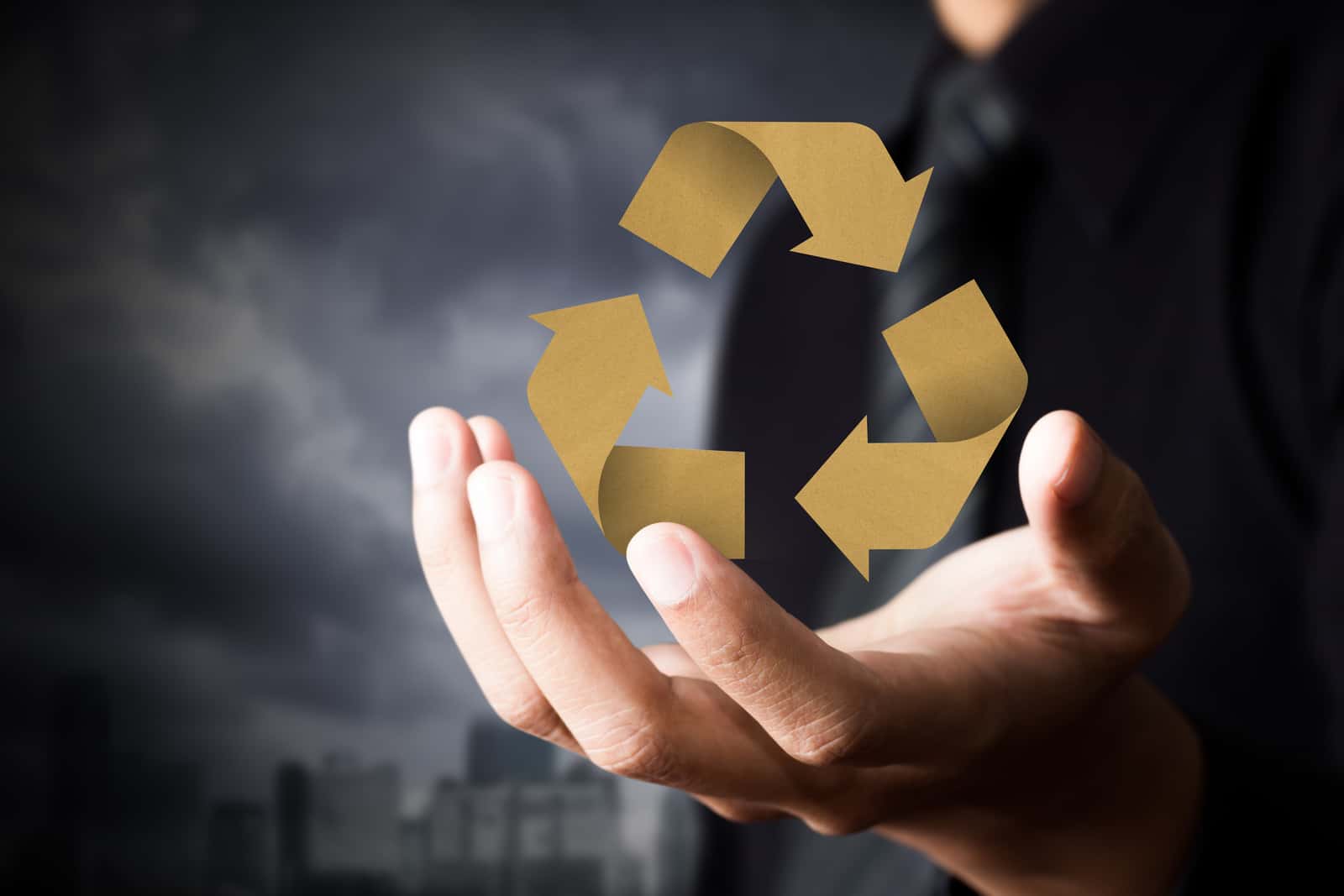 Sustainability 101
